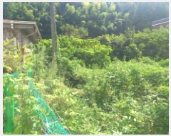  2025Ÿ��21873 �泲 ������ ���� ������ 1032      ����(����)���