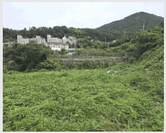  2025Ÿ��21882 �泲 ������ ��û�� ������ 211      ����(��)���