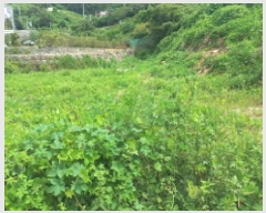  2025Ÿ��21882 �泲 ������ ��û�� ������ 211      ����(��)���