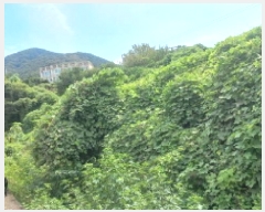  2025Ÿ��21882 �泲 ������ ��û�� ������ 211      ����(��)���