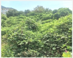  2025Ÿ��21882 �泲 ������ ��û�� ������ 211      ����(��)���