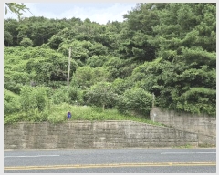  2025Ÿ��21891 �泲 �뿵�� ��õ�� 409       ���ð��