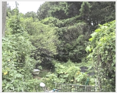  2025Ÿ��21891 �泲 �뿵�� ��õ�� 409       ���ð��