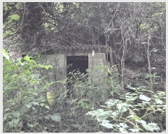  2025Ÿ��21891 �泲 �뿵�� ��õ�� 409       ���ð��