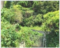  2025Ÿ��21891 �泲 �뿵�� ��õ�� 409       ���ð��