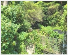  2025Ÿ��21891 �泲 �뿵�� ��õ�� 409       ���ð��