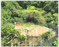  2025Ÿ��21891 �泲 �뿵�� ��õ�� 409       ���ð��