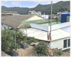  2025Ÿ��21899  ���ð��