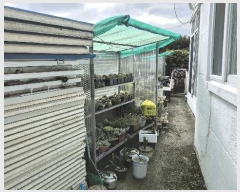  2025Ÿ��21899  ���ð��