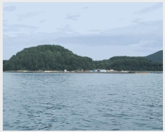  2025Ÿ��21907 �泲 �뿵�� �ѻ�� ��ȣ�� ���� ���� ���嵵�� ����   ����ǰ��