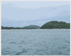  2025Ÿ��21907 �泲 �뿵�� �ѻ�� ��ȣ�� ���� ���� ���嵵�� ����   ����ǰ��