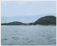  2025Ÿ��21907 �泲 �뿵�� �ѻ�� ��ȣ�� ���� ���� ���嵵�� ����   ����ǰ��