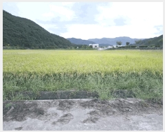  2025Ÿ��21924  ����