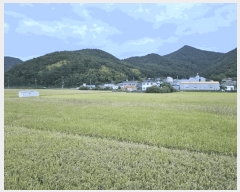  2025Ÿ��21924  ����