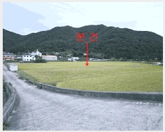  2025Ÿ��21924  ����