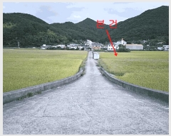  2025Ÿ��21924  ����