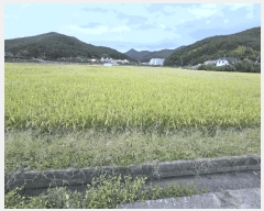  2025Ÿ��21924  ����