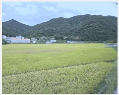  2025Ÿ��21924  ����