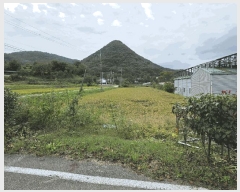  2025Ÿ��21965  ����