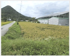  2025Ÿ��21965  ����