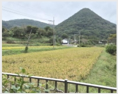  2025Ÿ��21965  ����