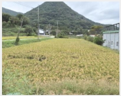  2025Ÿ��21965  ����