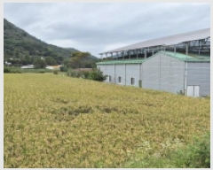  2025Ÿ��21965  ����