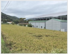  2025Ÿ��21965  ����