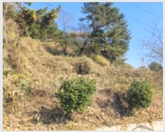  2025Ÿ��22182 �泲 �뿵�� �緮�� ���� 504      ����(��1)���