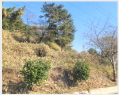  2025Ÿ��22182 �泲 �뿵�� �緮�� ���� 504      ����(��1)���
