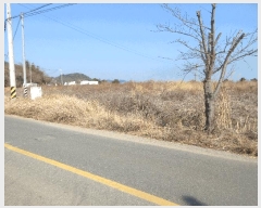  2025Ÿ��91 �泲 ������ ���� ��õ�� 5      ����(��)���