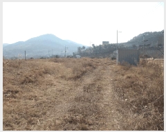  2025Ÿ��91 �泲 ������ ���� ��õ�� 5      ����(��)���