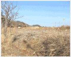  2025Ÿ��91 �泲 ������ ���� ��õ�� 5      ����(��)���