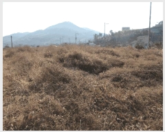  2025Ÿ��91 �泲 ������ ���� ��õ�� 5      ����(��)���