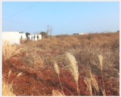  2025Ÿ��91 �泲 ������ ���� ��õ�� 5      ����(��)���