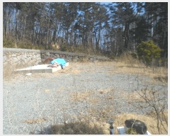  2025Ÿ383 泲  Ͽ ҵ 750-63      ()