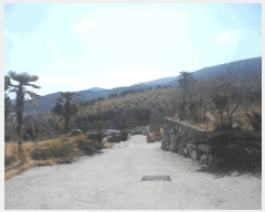  2025Ÿ383 泲  Ͽ ҵ 750-63      ()