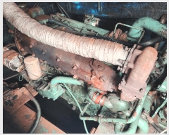  2025Ÿ��567  ���ڰ��