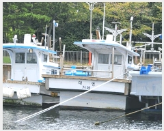  2025Ÿ��567  ���ڰ��