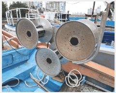  2025Ÿ��567  ���ڰ��