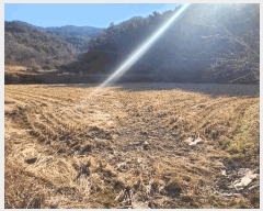  2025Ÿ��20064 �泲 ������ ������ ���� 268-2      ����(��)���