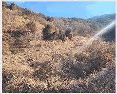  2025Ÿ��20064 �泲 ������ ������ ���� 268-2      ����(��)���