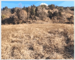  2025Ÿ��20064 �泲 ������ ������ ���� 268-2      ����(��)���