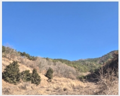  2025Ÿ��20064 �泲 ������ ������ ���� 268-2      ����(��)���