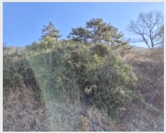  2025Ÿ20224 泲  밡  204      (Ӿ)