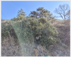  2025Ÿ20224 泲  밡  204      (Ӿ)