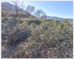  2025Ÿ20224 泲  밡  204      (Ӿ)