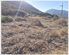  2025Ÿ20224 泲  밡  204      (Ӿ)