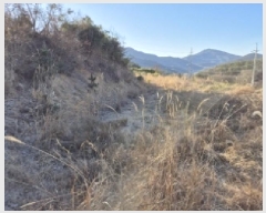  2025Ÿ20224 泲  밡  204      (Ӿ)