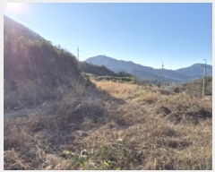  2025Ÿ20224 泲  밡  204      (Ӿ)